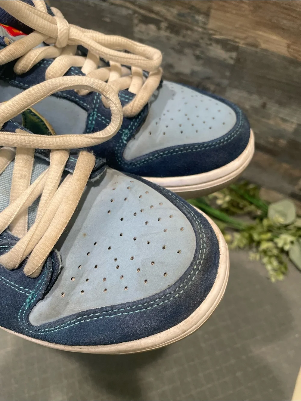 Nike Dunk SB Low Pro 